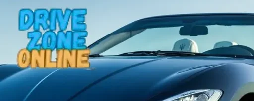 logo of drive zone online